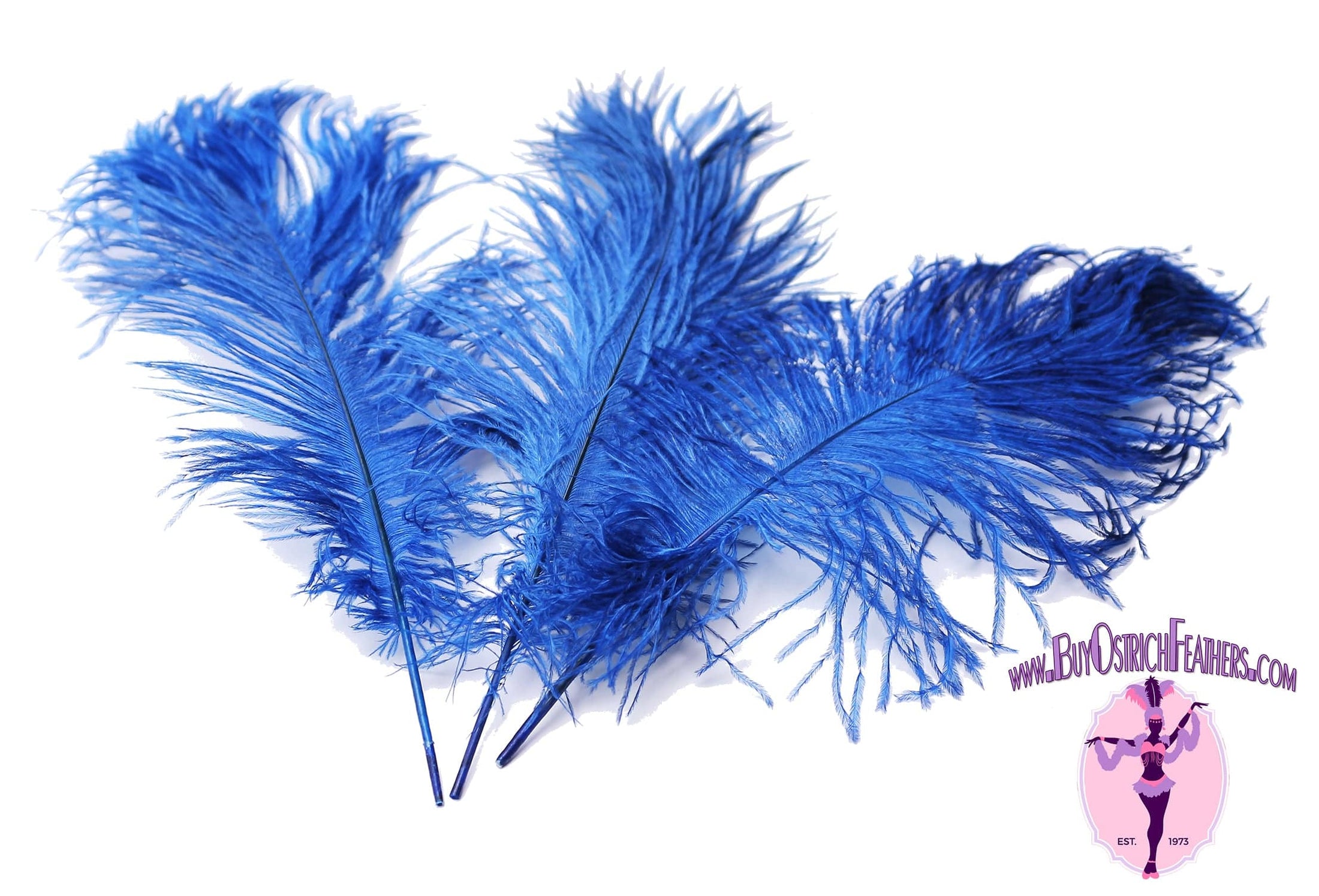 Complete Feather Centerpiece With 20" Vase (Royal Blue) - Buy Ostrich Feathers