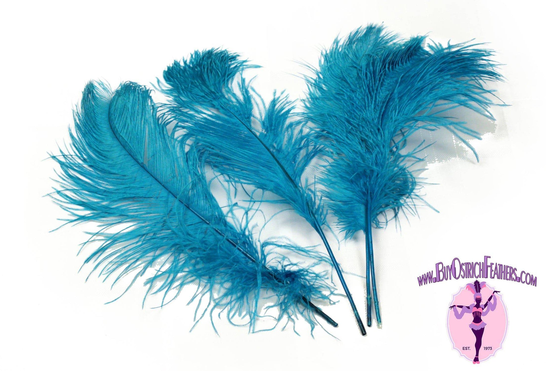 Complete Feather Centerpiece With 20" Vase (Turquoise) - Buy Ostrich Feathers