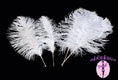 Load image into Gallery viewer, Complete Feather Centerpiece With 20" Vase (White) - Buy Ostrich Feathers
