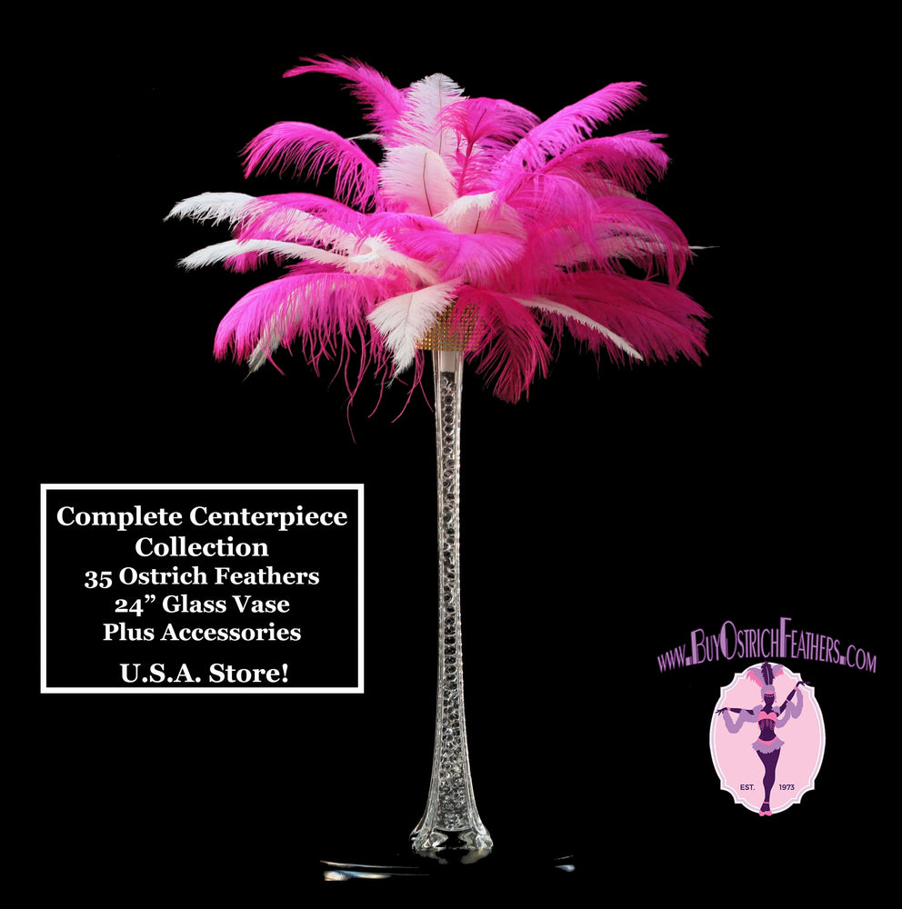 
                  
                    Complete Feather Centerpiece With 24" Vase (Fuchsia & White) - Buy Ostrich Feathers
                  
                