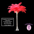 Load image into Gallery viewer, Complete Feather Centerpiece With 24" Vase (Red) - Buy Ostrich Feathers
