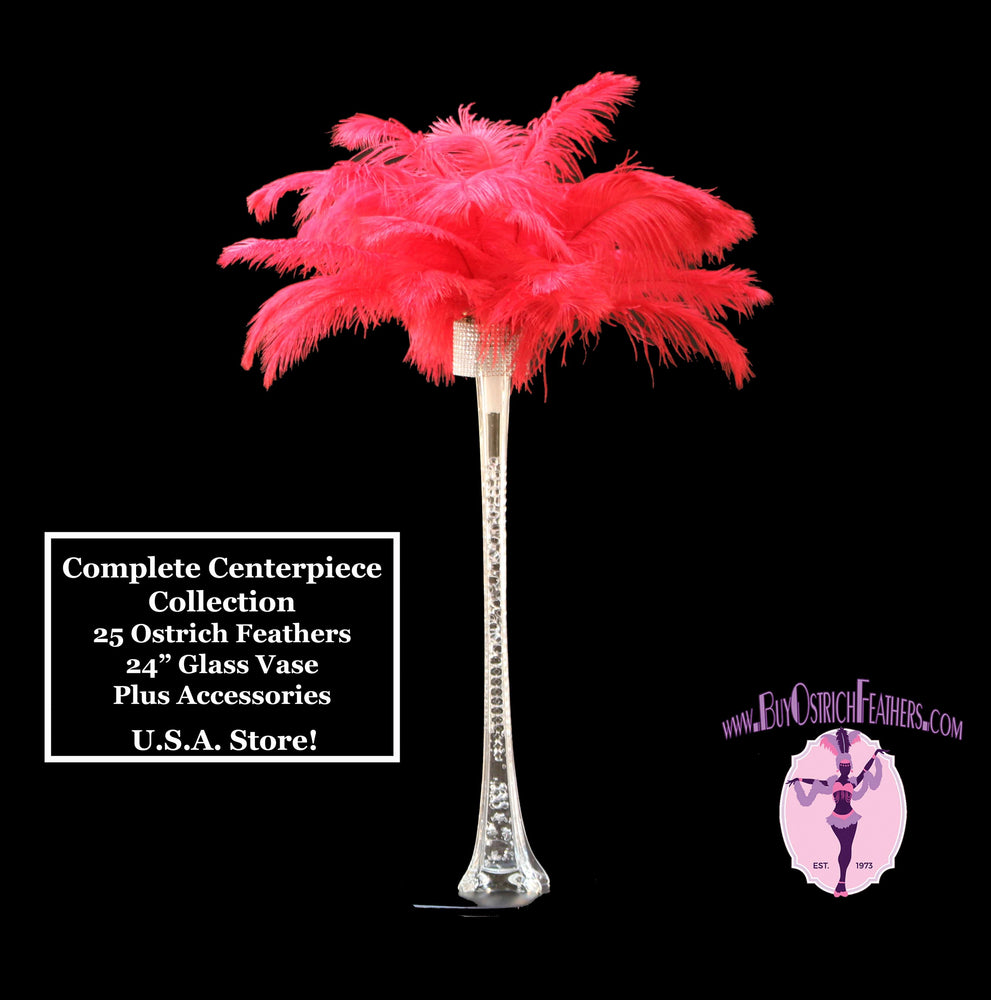 Complete Feather Centerpiece With 24" Vase (Red) - Buy Ostrich Feathers