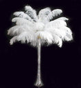 Load image into Gallery viewer, Complete Feather Centerpiece With 24" Vase (White) - Buy Ostrich Feathers
