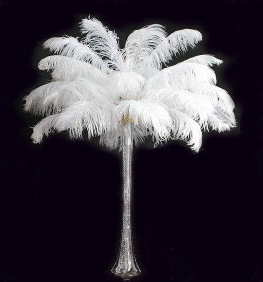 Complete Feather Centerpiece With 24" Vase (White) - Buy Ostrich Feathers