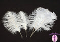 Load image into Gallery viewer, Complete Feather Centerpiece With 24" Vase (White) - Buy Ostrich Feathers
