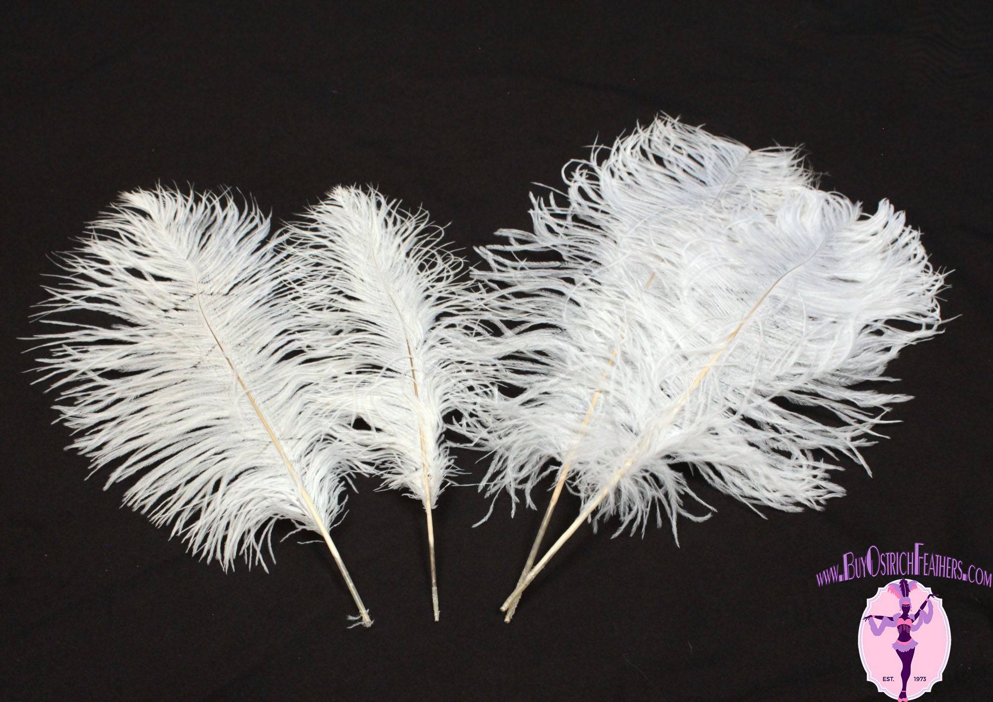 Complete Feather Centerpiece With 24" Vase (White) - Buy Ostrich Feathers