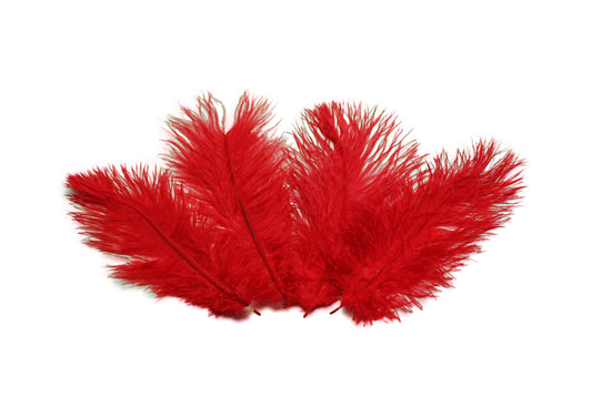 Ostrich Flexible Feathers 9-12" (Red) - Buy Ostrich Feathers