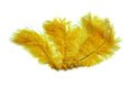 Load image into Gallery viewer, Ostrich Flexible Feathers 9-12" (Golden Yellow) - Buy Ostrich Feathers
