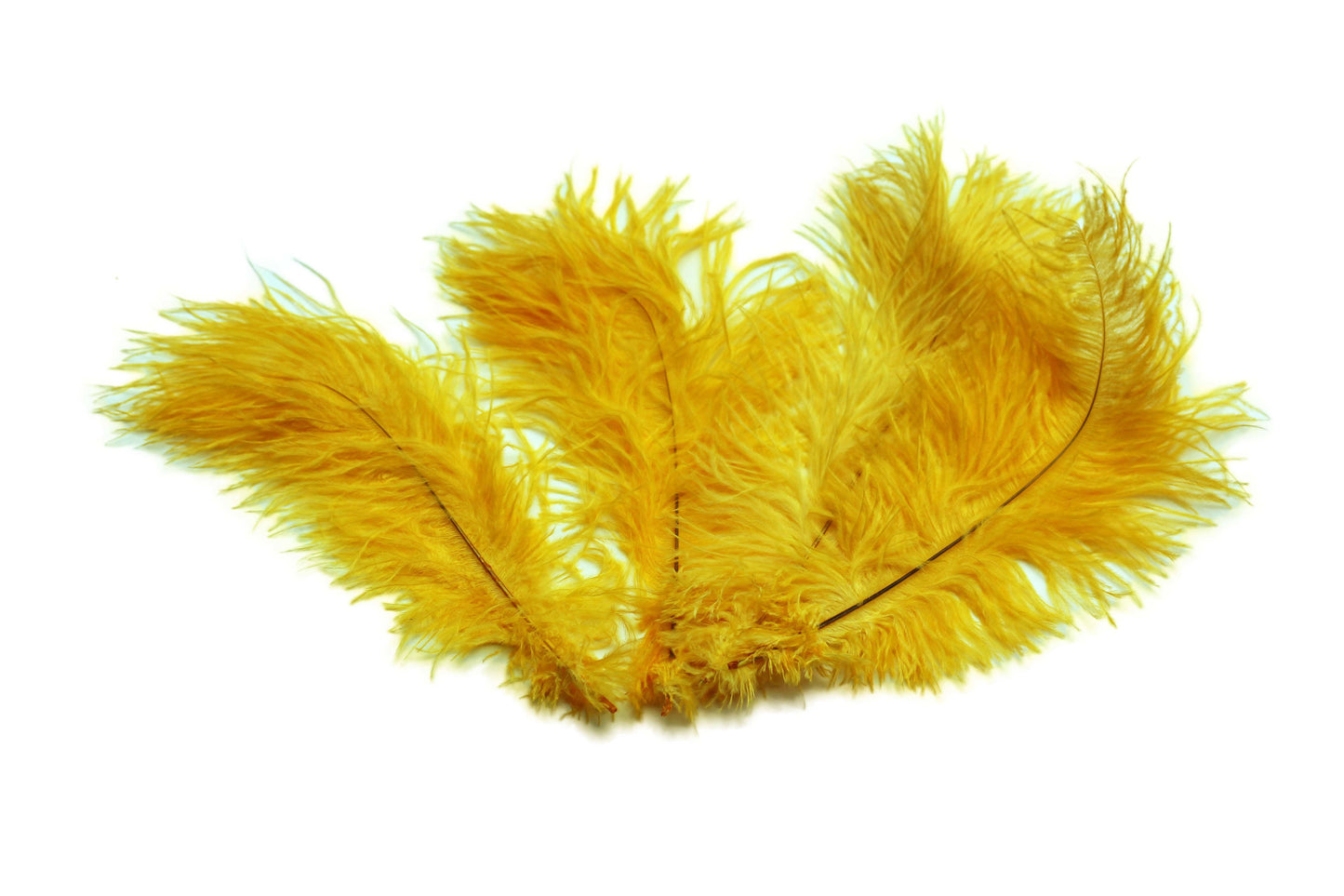 
                  
                    Ostrich Flexible Feathers 9-12" (Golden Yellow) - Buy Ostrich Feathers
                  
                