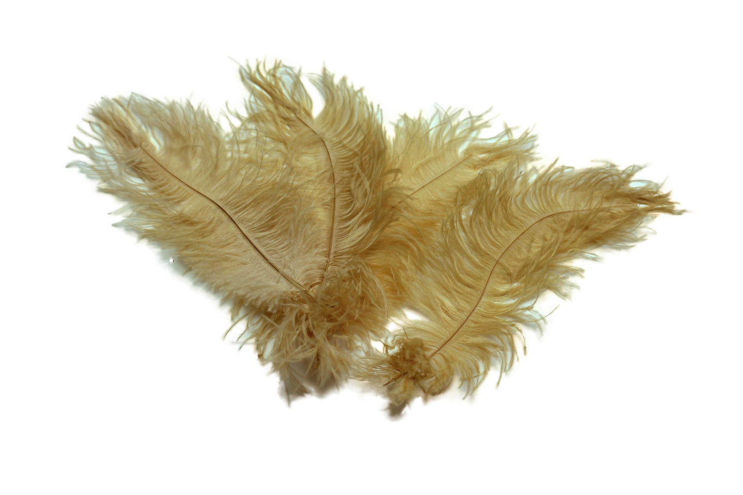 Belagio Ostrich Feather Trim, 6 Wide, Gold