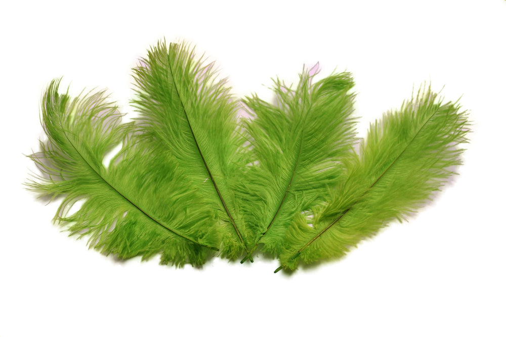 Ostrich Flexible Feathers 9-12" (Lime Green) - Buy Ostrich Feathers