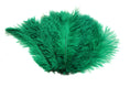 Load image into Gallery viewer, Ostrich Flexible Feathers 13-16" (Emerald Green) - Buy Ostrich Feathers
