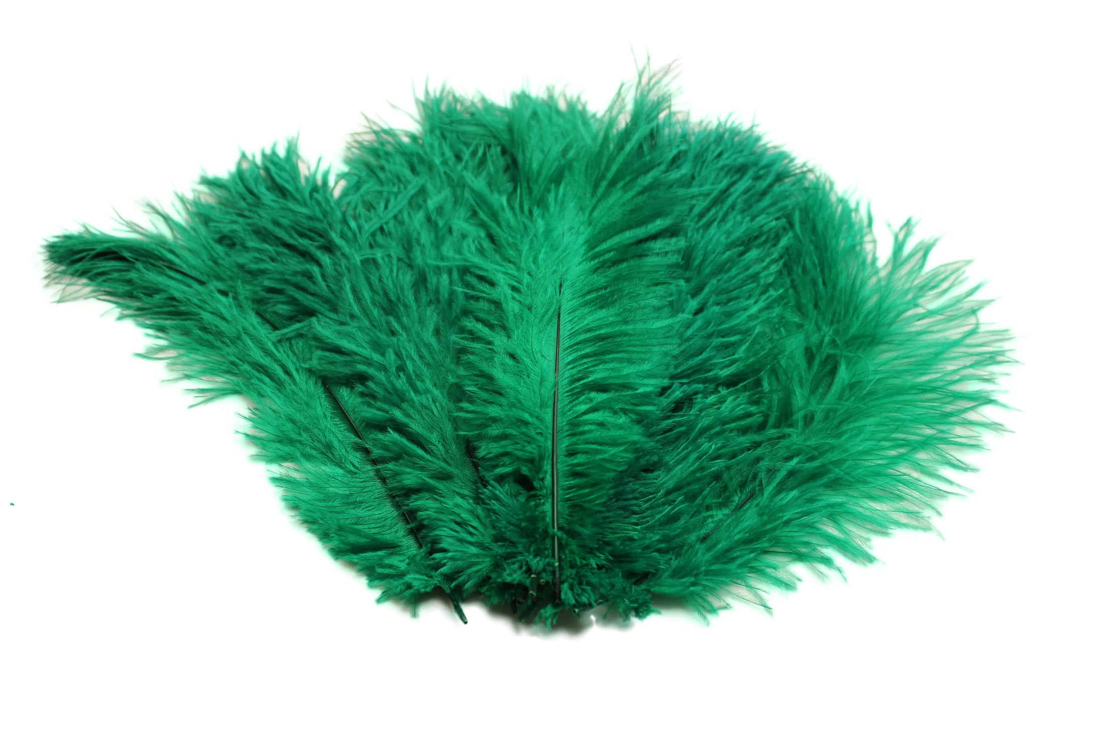 Ostrich Flexible Feathers 13-16" (Emerald Green) - Buy Ostrich Feathers