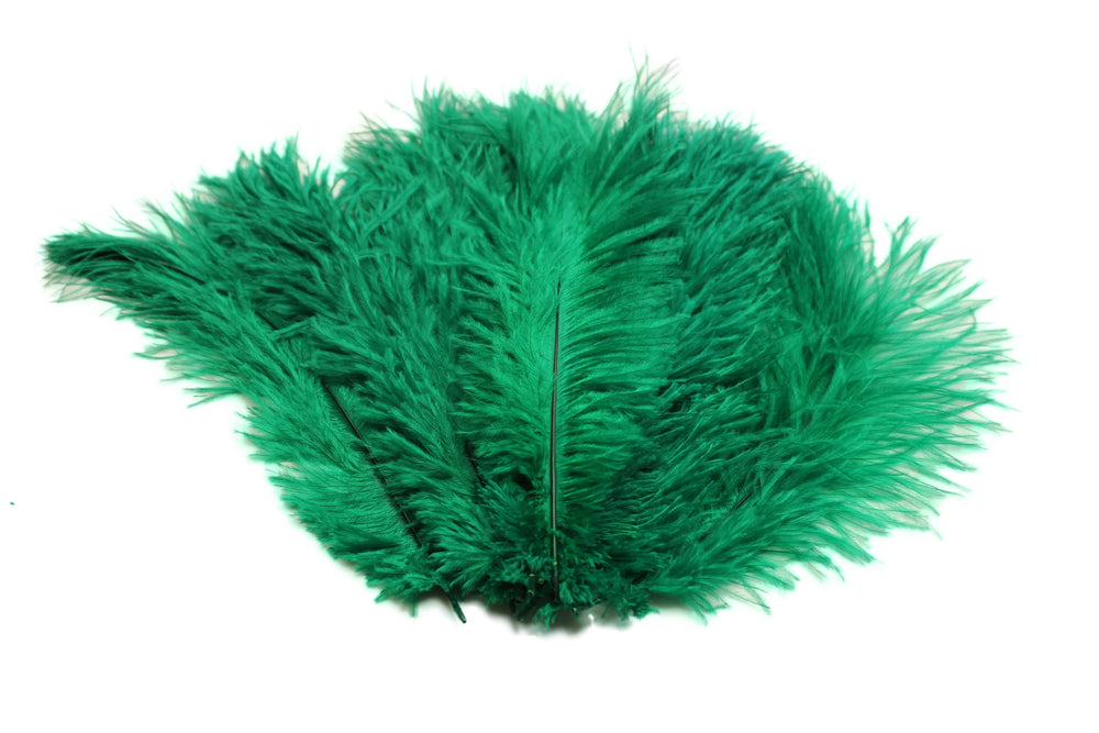 
                  
                    Ostrich Flexible Feathers 13-16" (Emerald Green) - Buy Ostrich Feathers
                  
                