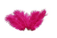 Load image into Gallery viewer, Ostrich Flexible Feathers 9-12" (Fuschia) - Buy Ostrich Feathers
