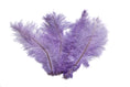 Load image into Gallery viewer, Ostrich Flexible Feathers 9-12" (Lavender) - Buy Ostrich Feathers
