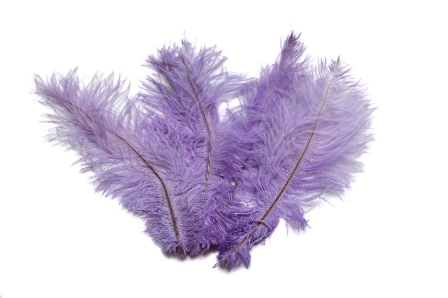 Ostrich Flexible Feathers 9-12" (Lavender) - Buy Ostrich Feathers