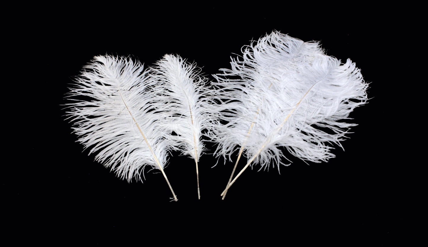 Ostrich Flexible Feathers 9-12" (White) - Buy Ostrich Feathers