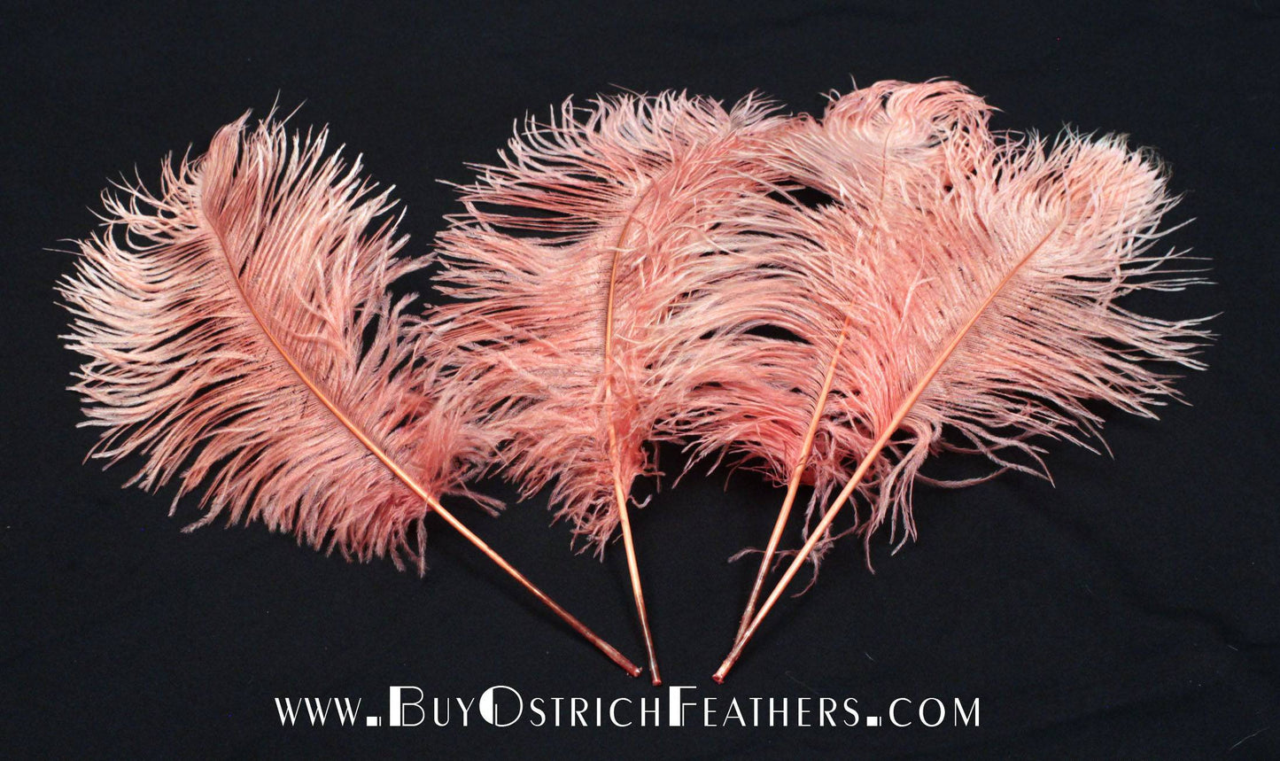 BULK 1/2lb Ostrich Feather Tail Plumes 15-20 (Apricot) for Sale Online