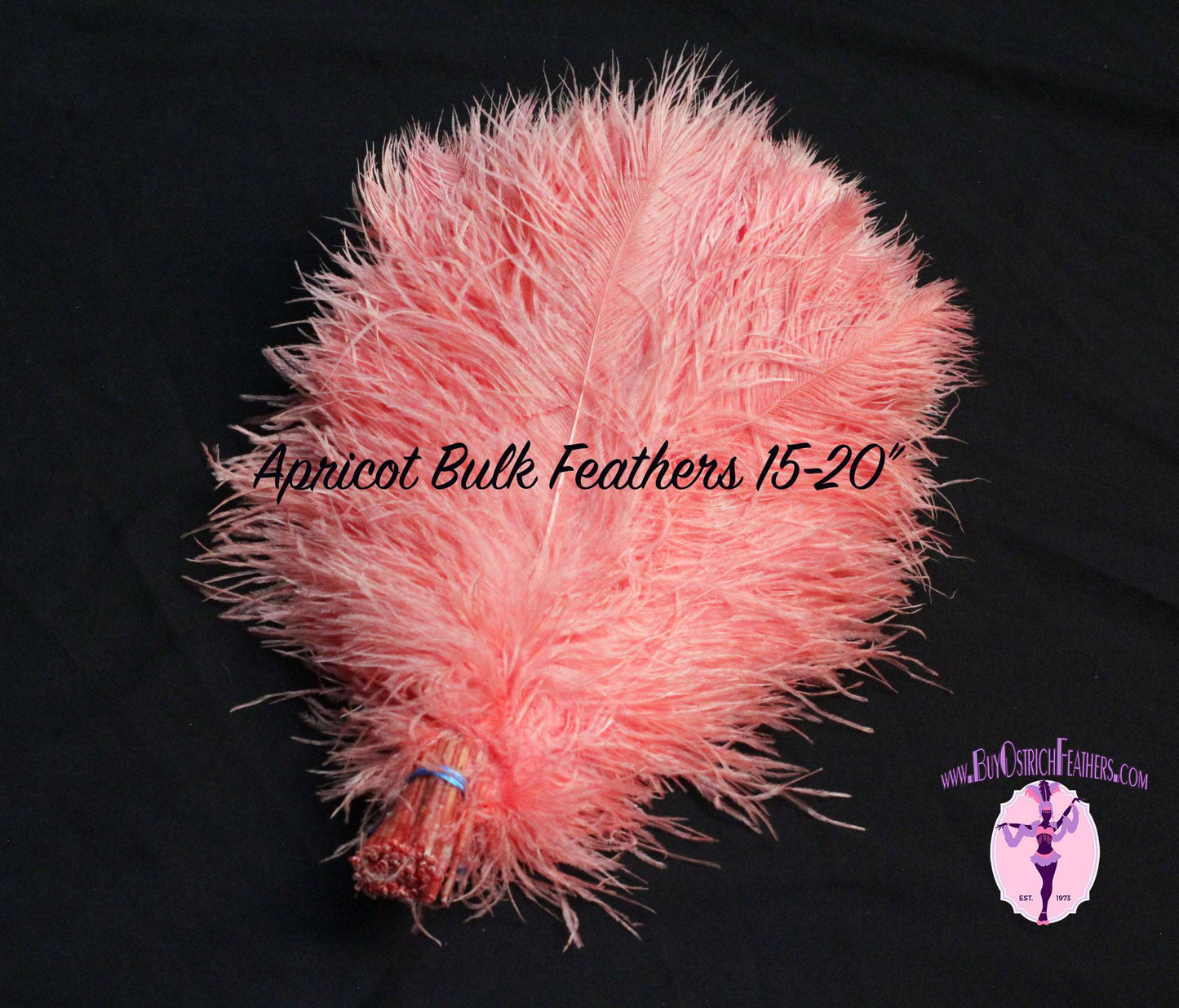 
                  
                    BULK 1/2lb Ostrich Feather Tail Plumes 15-20" (Apricot) - Buy Ostrich Feathers
                  
                