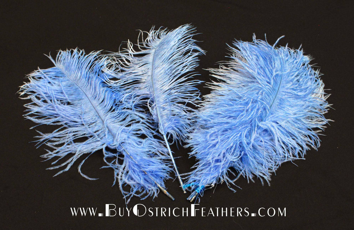 BULK 1/2lb Ostrich Feather Tail Plumes 15-20 (Black) for Sale Online