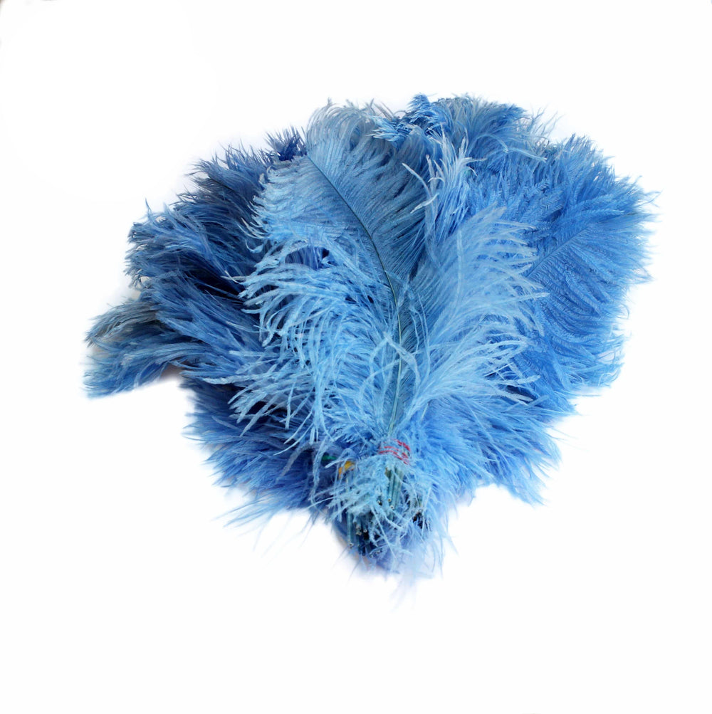 BULK 1/2lb Ostrich Feather Tail Plumes 15-20