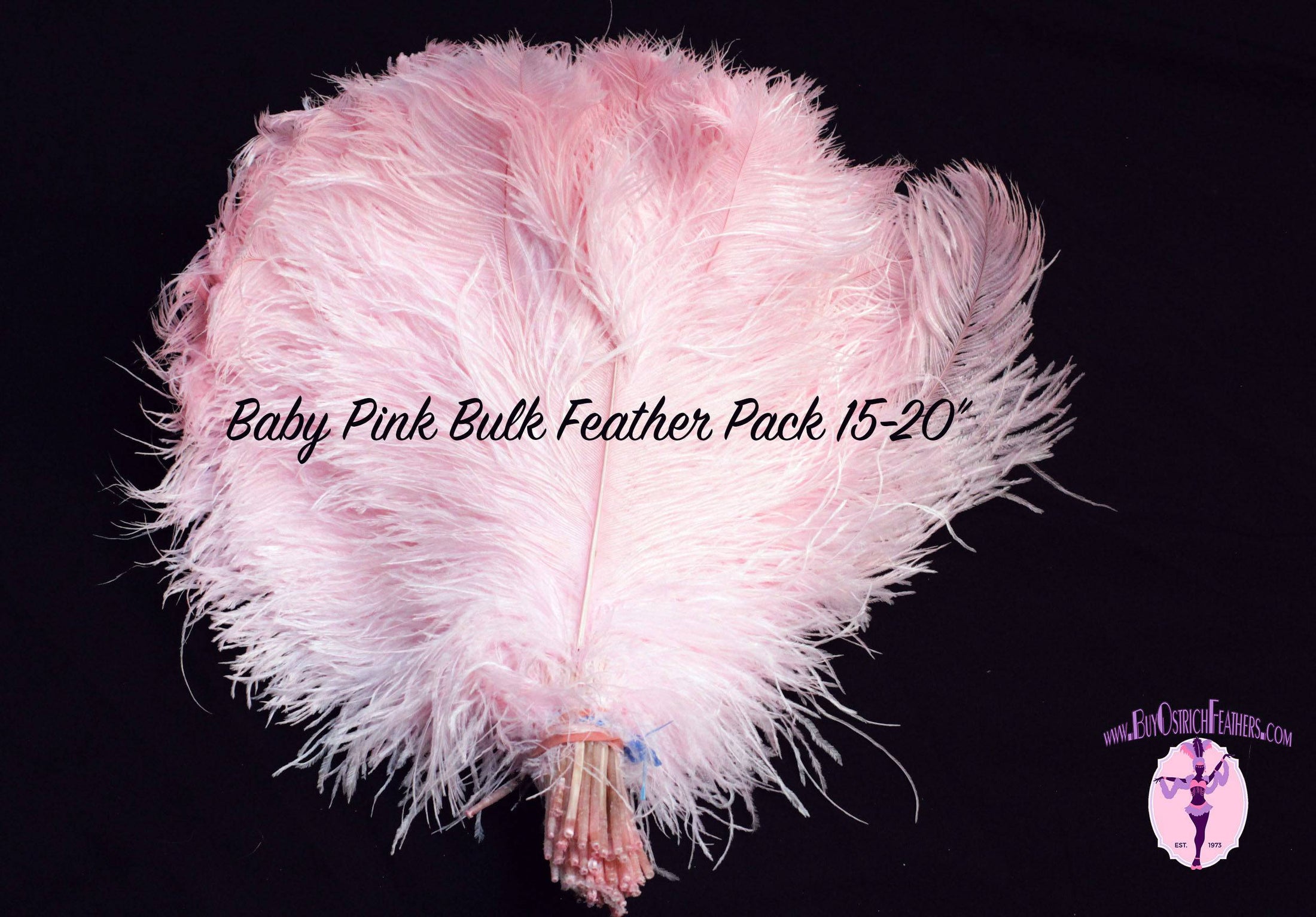 BULK 1/2lb Ostrich Feather Tail Plumes 15-20" (Baby Pink) - Buy Ostrich Feathers