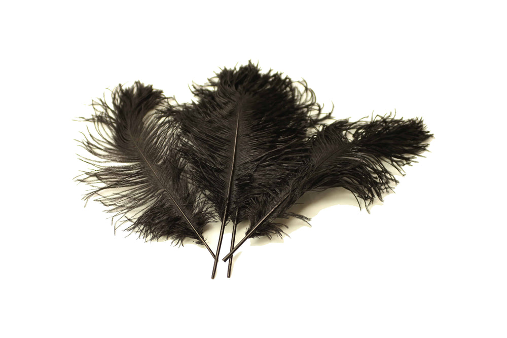 BULK 1/2lb Ostrich Feather Tail Plumes 15-20 (Black) for Sale Online