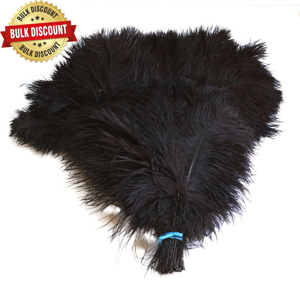 
                  
                    BULK 1/2lb Ostrich Feather Tail Plumes 15-20" (Black) - Buy Ostrich Feathers
                  
                