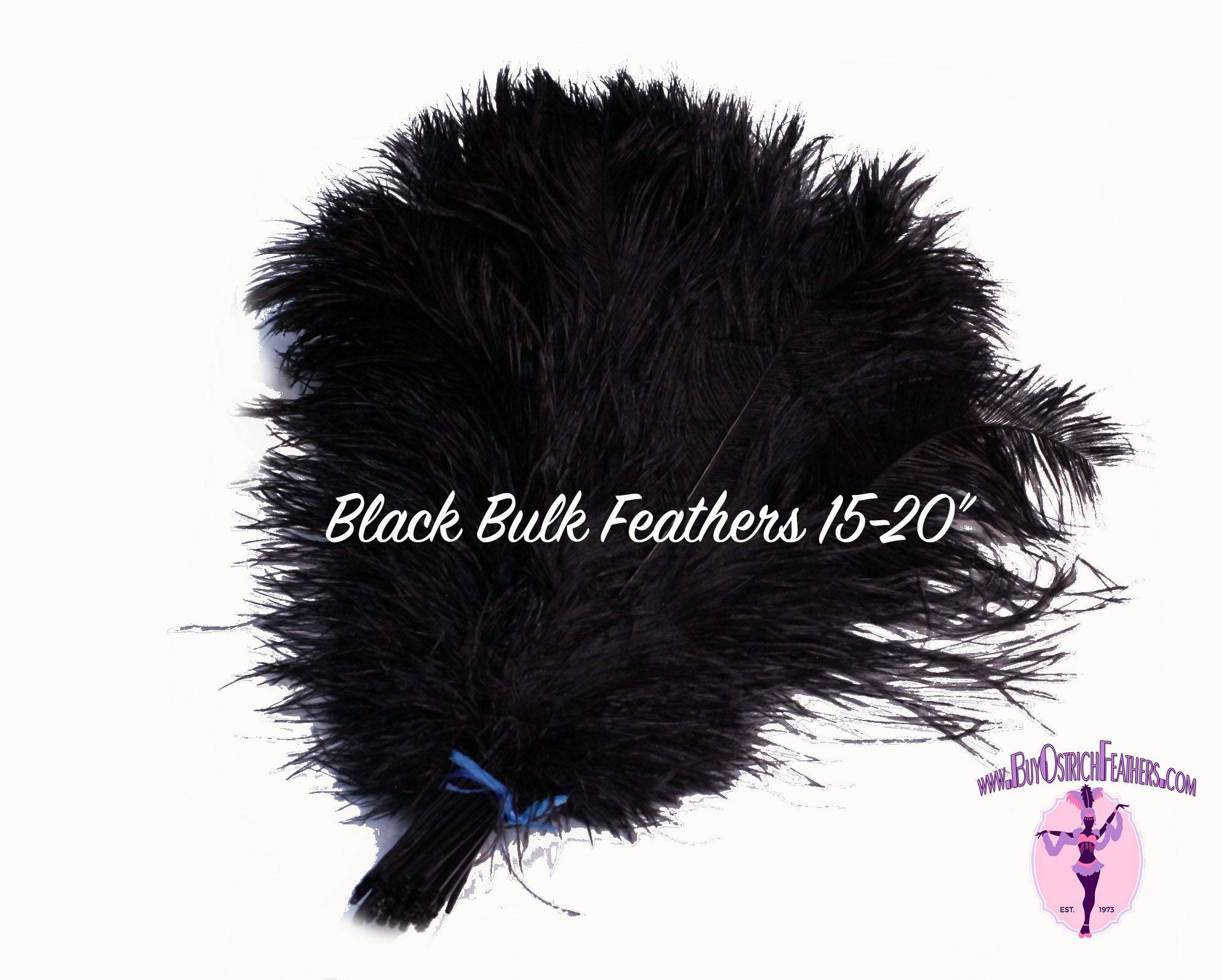 BULK 1/2lb Ostrich Feather Tail Plumes 15-20" (Black) - Buy Ostrich Feathers