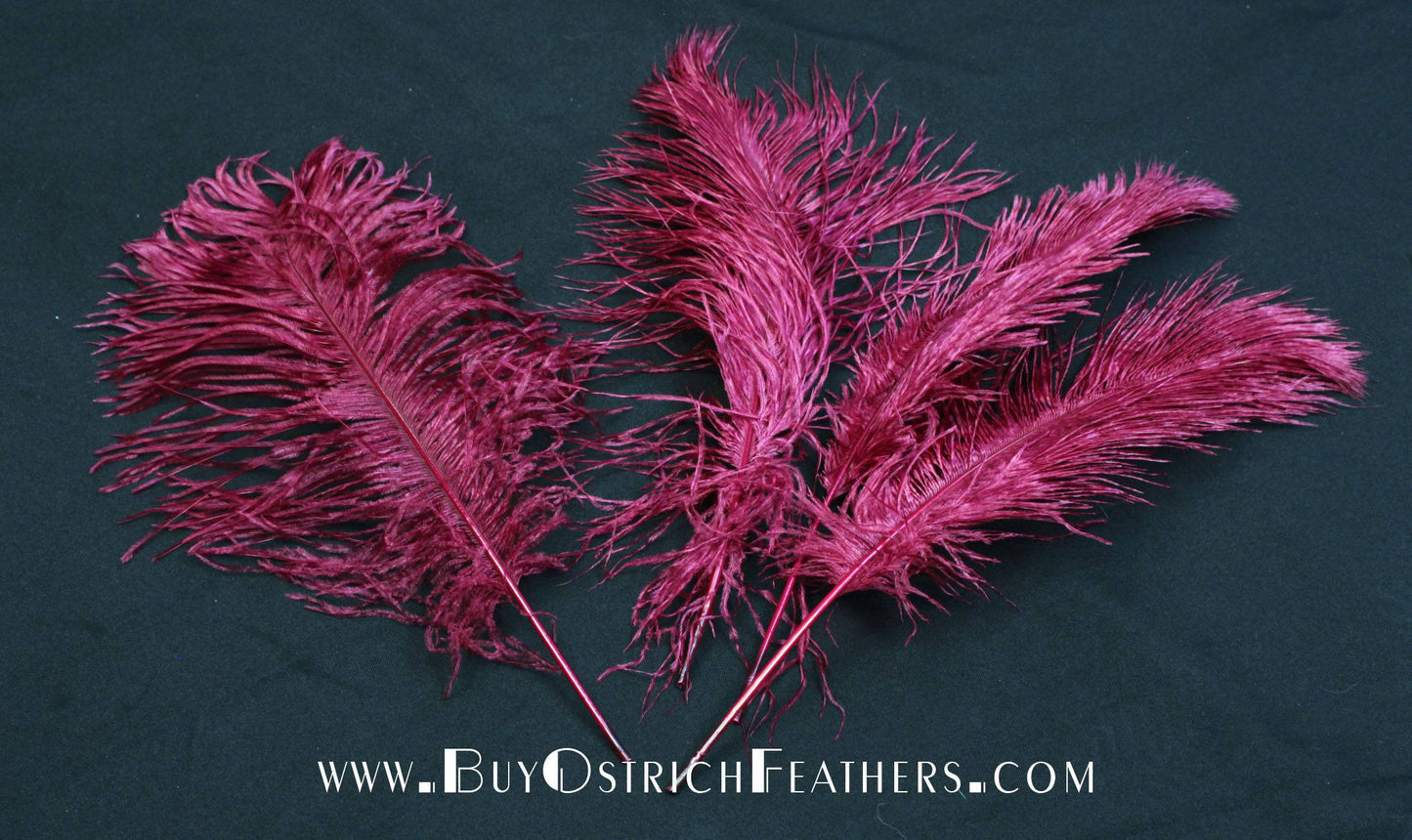 BULK 1/2lb Ostrich Feather Tail Plumes 15-20 (Red) for Sale Online