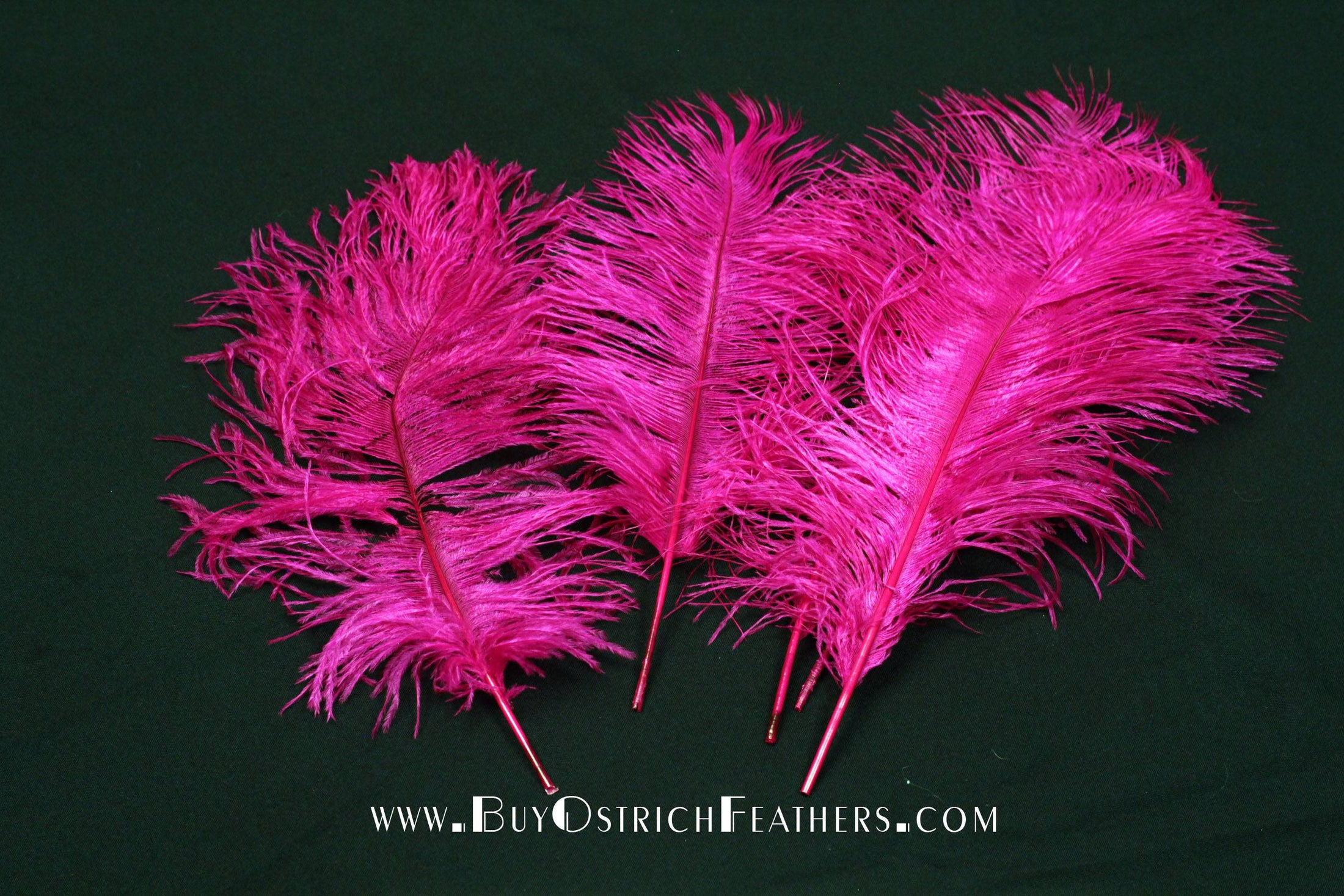 BULK 1/2lb Ostrich Feather Tail Plumes 15-20" (Fuchsia) - Buy Ostrich Feathers