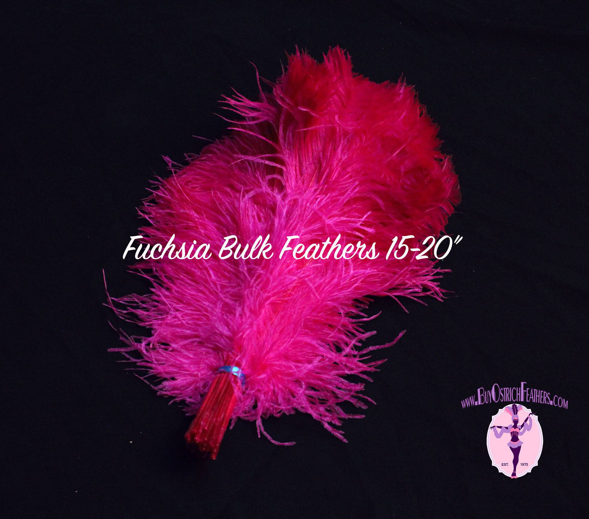 BULK 1/2lb Ostrich Feather Tail Plumes 15-20" (Fuchsia) - Buy Ostrich Feathers