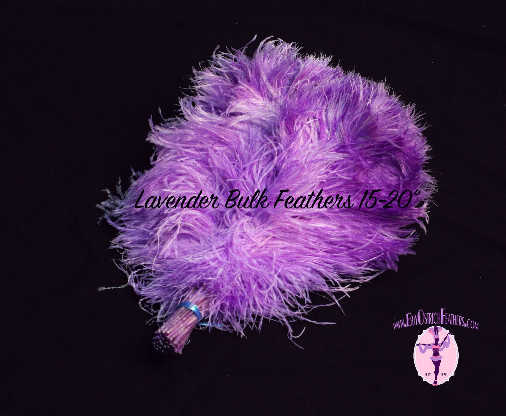 BULK 1/2lb Ostrich Feather Tail Plumes 15-20" (Lavender) - Buy Ostrich Feathers