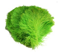 Load image into Gallery viewer, BULK 1/2lb Ostrich Feather Tail Plumes 15-20" (Lime Green) - Buy Ostrich Feathers
