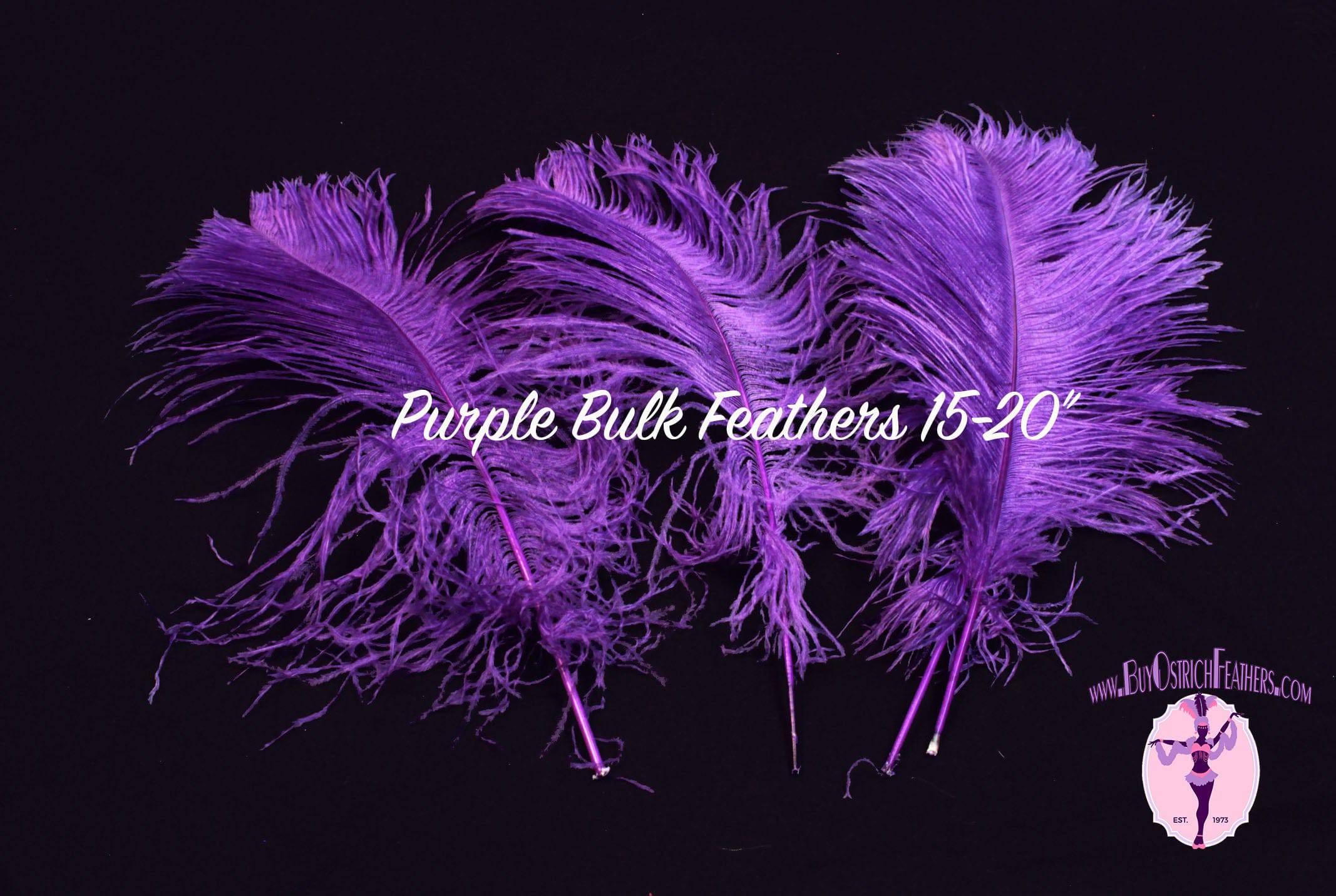 BULK 1/2lb Ostrich Feather Tail Plumes 15-20" (Purple) - Buy Ostrich Feathers