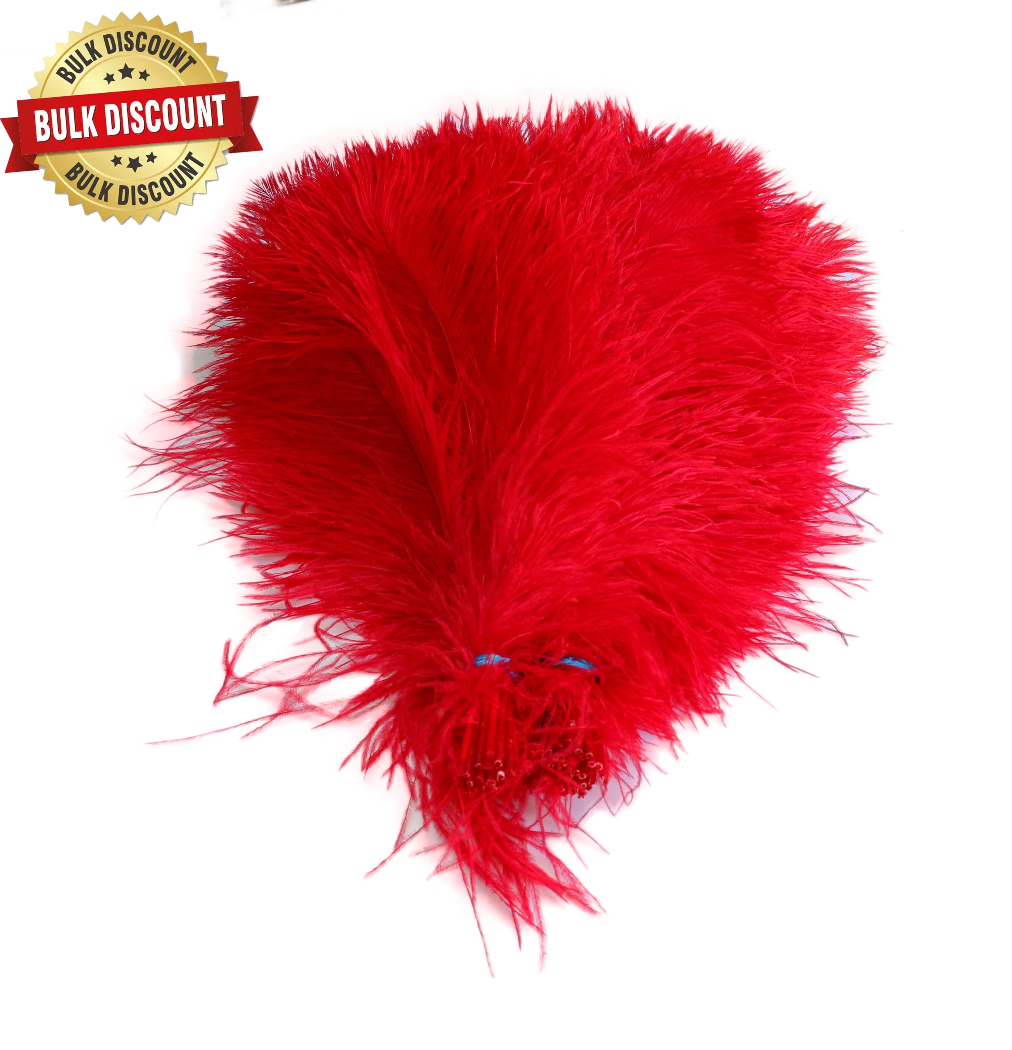 Red Ostrich Feathers, 10 popular Yards - Fiery Red Ombre Ostrich Fringe Trim Wholesale Feather (Bulk) : 4509