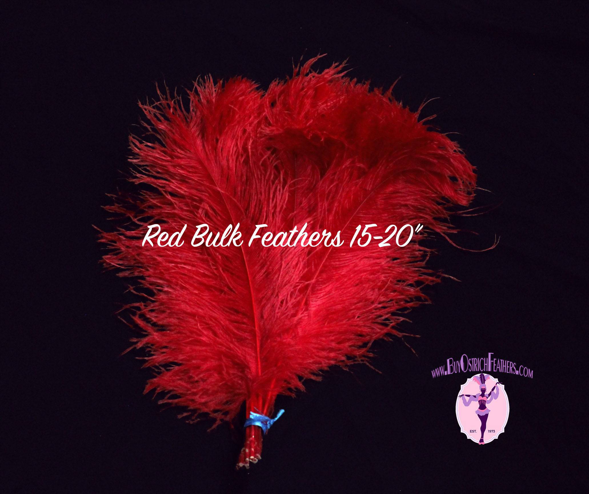 BULK 1/2lb Ostrich Feather Tail Plumes 15-20" (Red) - Buy Ostrich Feathers