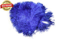 Load image into Gallery viewer, BULK 1/2lb Ostrich Feather Tail Plumes 15-20" (Royal Blue) - Buy Ostrich Feathers
