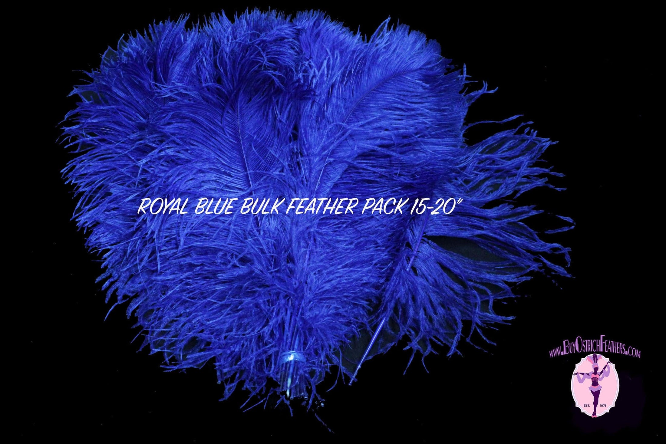 BULK 1/2lb Ostrich Feather Tail Plumes 15-20" (Royal Blue) - Buy Ostrich Feathers