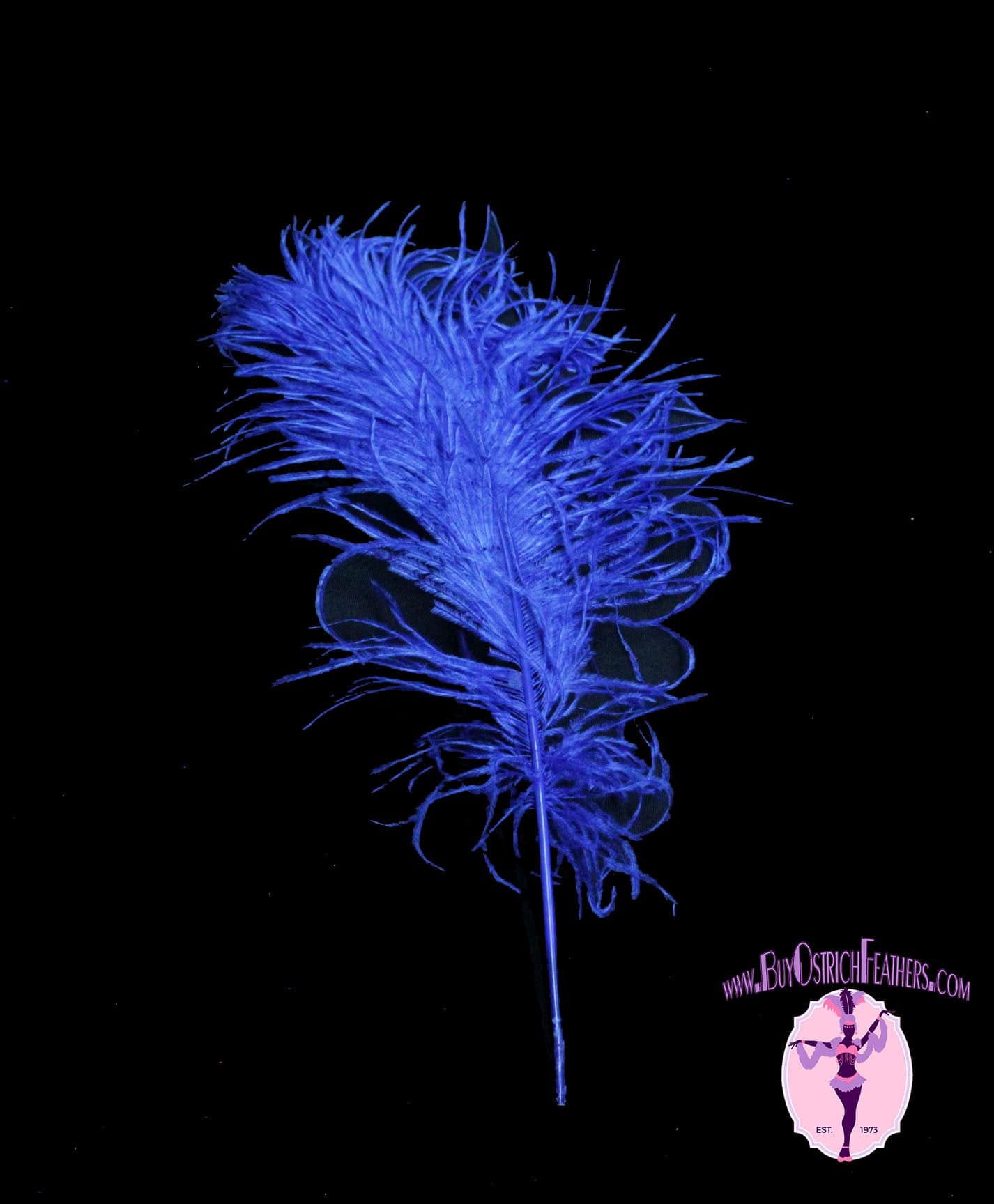 BULK 1/2lb Ostrich Feather Tail Plumes 15-20" (Royal Blue) - Buy Ostrich Feathers