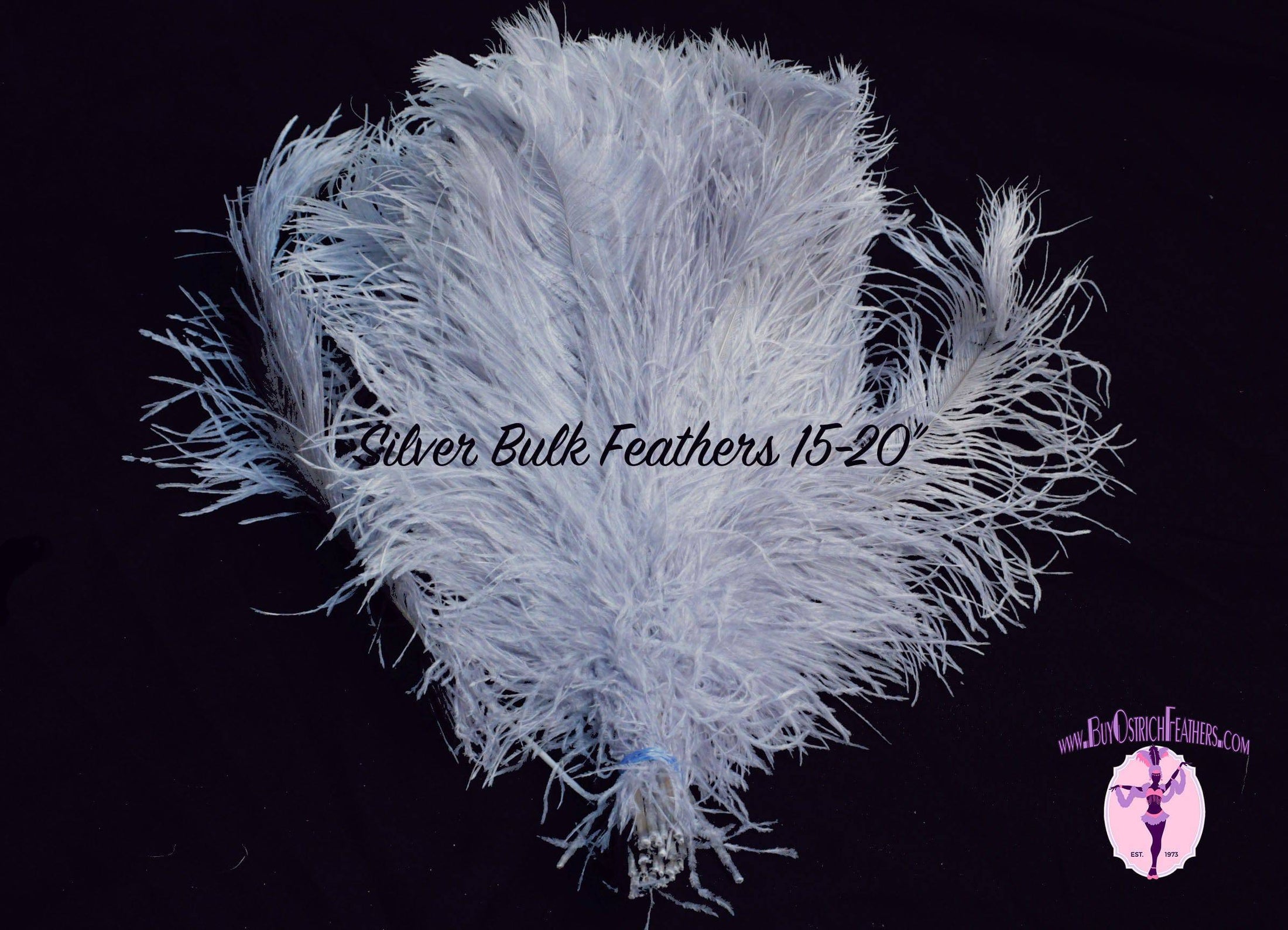 BULK 1/2lb Ostrich Feather Tail Plumes 15-20" (Silver/Grey) - Buy Ostrich Feathers