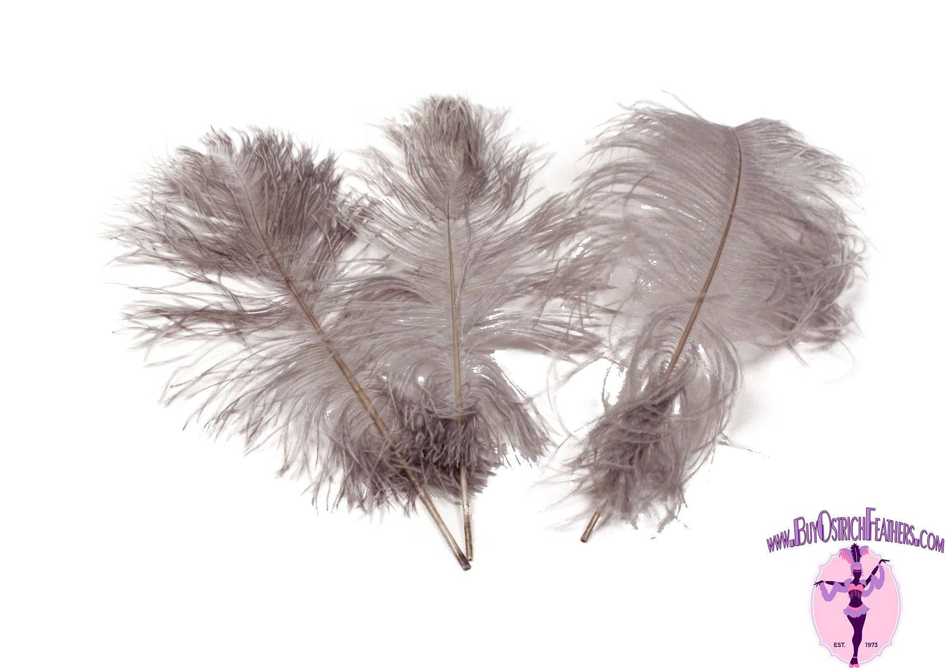 BULK 1/2lb Ostrich Feather Tail Plumes 15-20" (Silver/Grey) - Buy Ostrich Feathers