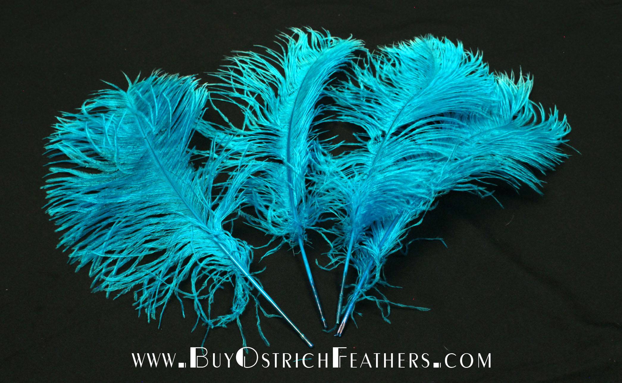 BULK 1/2lb Ostrich Feather Tail Plumes 15-20" (Turquoise) - Buy Ostrich Feathers