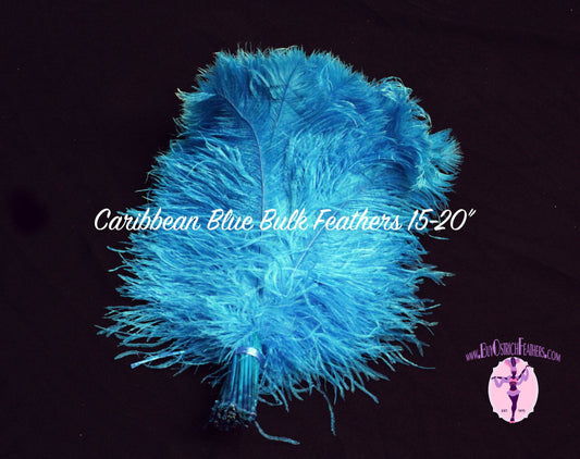 BULK 1/2lb Ostrich Feather Tail Plumes 15-20" (Turquoise) - Buy Ostrich Feathers