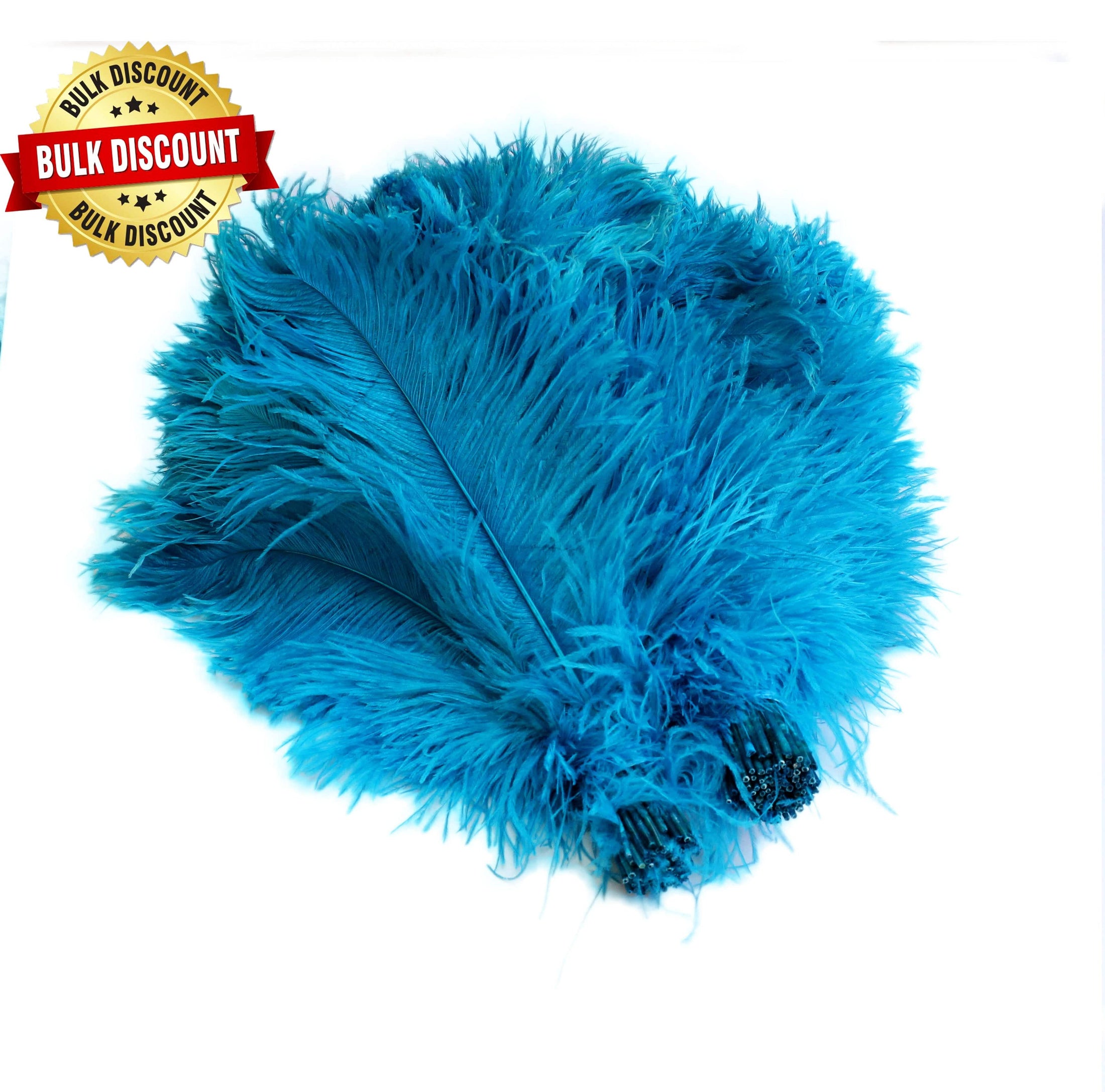 BULK 1/2lb Ostrich Feather Tail Plumes 15-20" (Turquoise) - Buy Ostrich Feathers