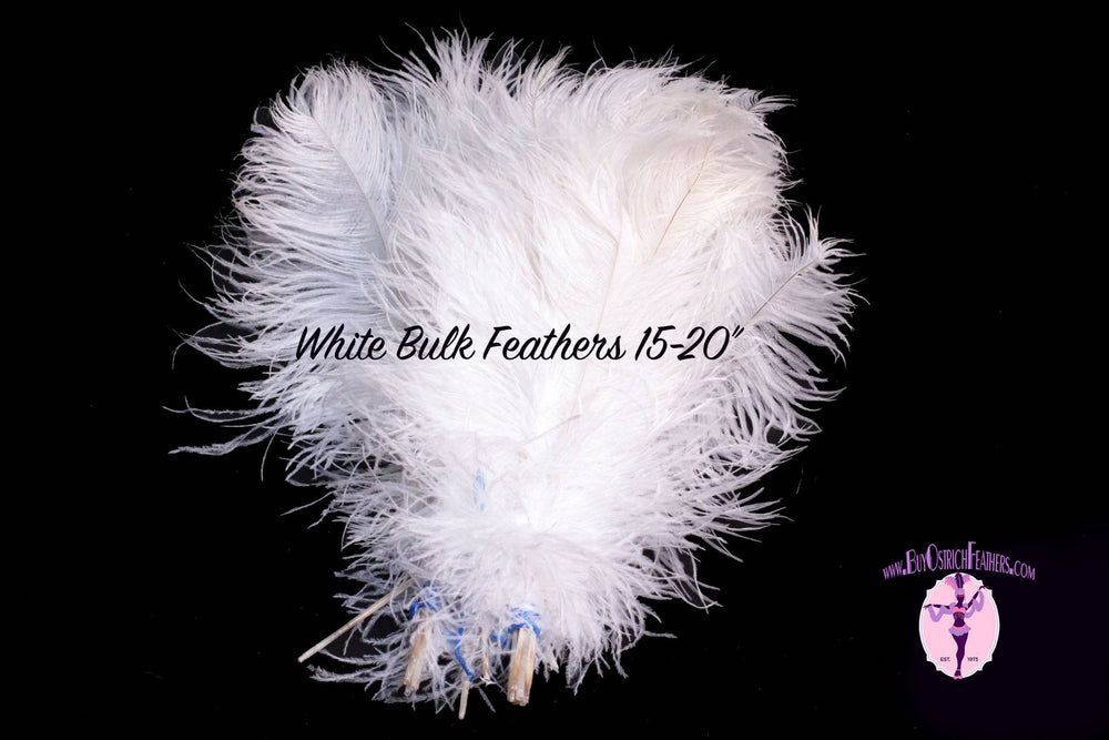 BULK 1/2lb Ostrich Feather Tail Plumes 15-20