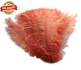 Load image into Gallery viewer, BULK 1/4lb Ostrich Feather Spad Plumes 12-16" (Apricot) - Buy Ostrich Feathers
