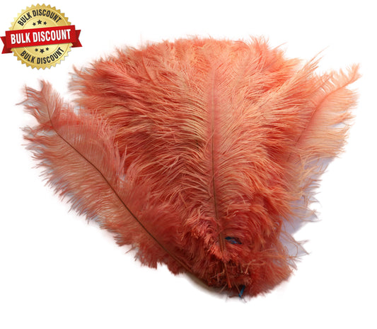 BULK 1/4lb Ostrich Feather Spad Plumes 12-16" (Apricot) - Buy Ostrich Feathers