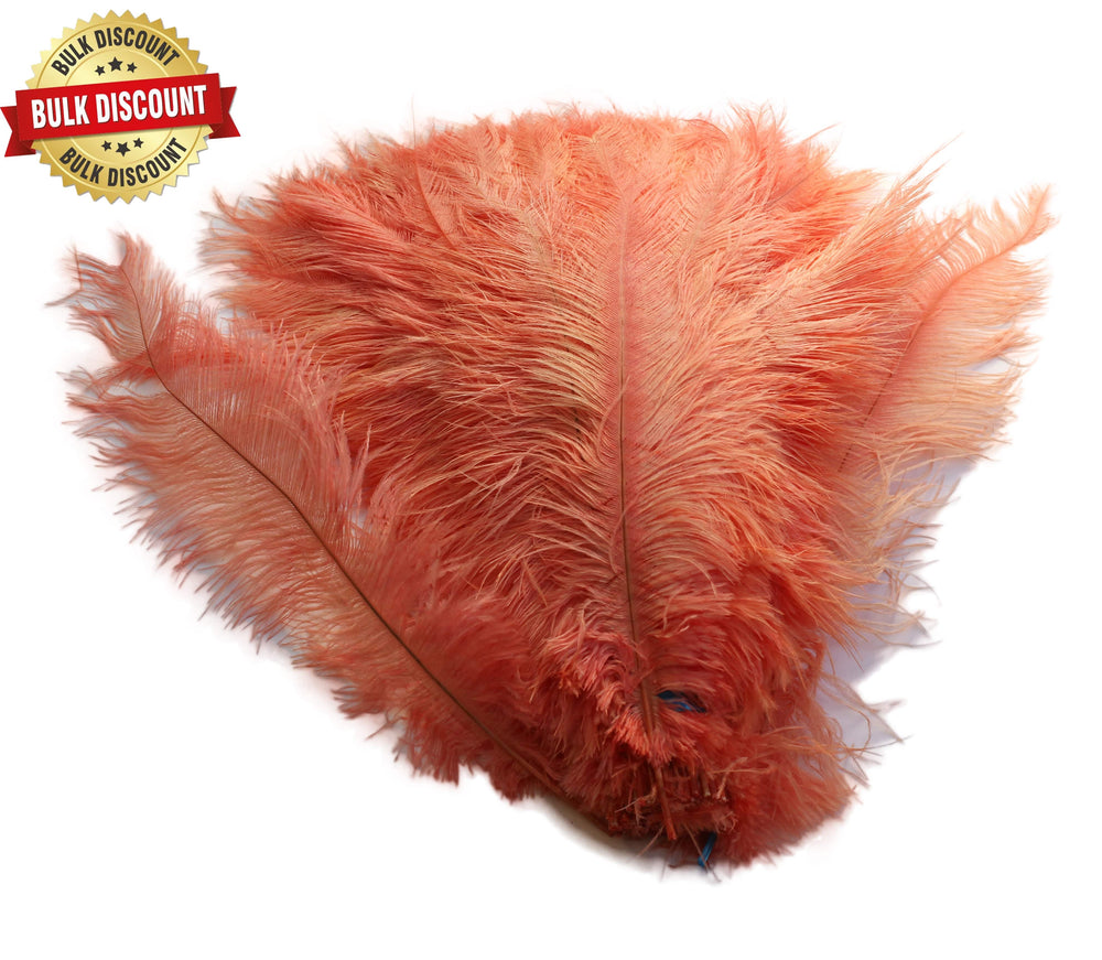 
                  
                    BULK 1/4lb Ostrich Feather Spad Plumes 12-16" (Apricot) - Buy Ostrich Feathers
                  
                